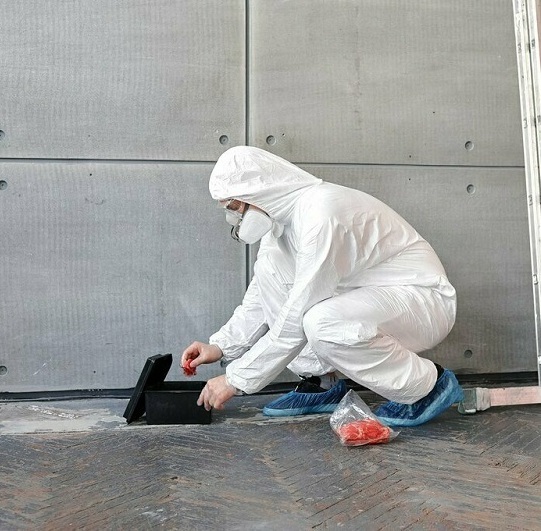 Уничтожение грызунов Уничтожение грызунов