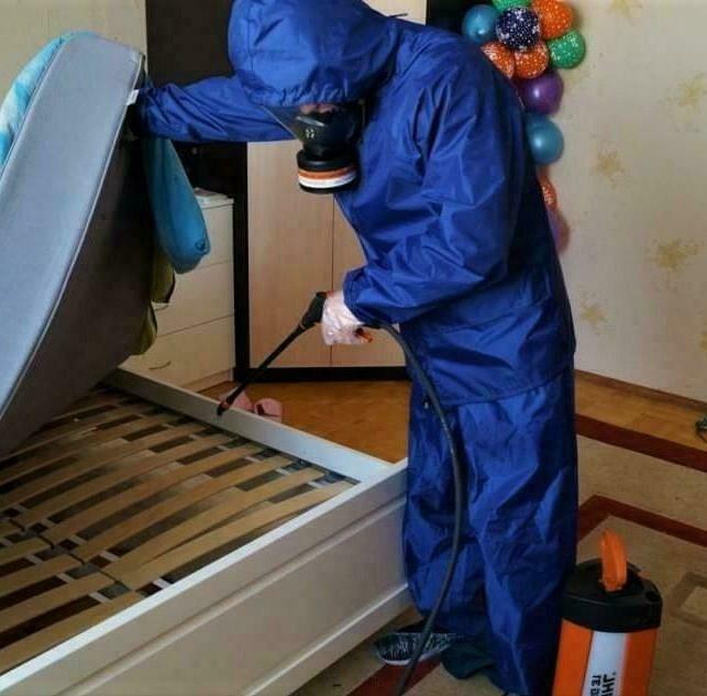 Уничтожение клопов Уничтожение клопов