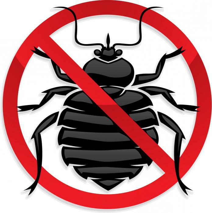 <span style="font-weight: bold;">ЦЕНЫ НА УНИЧТОЖЕНИЕ КЛОПОВ</span>