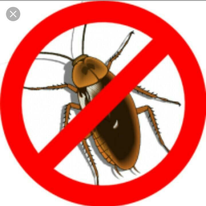 <span style="font-weight: bold;">ЦЕНЫ НА УНИЧТОЖЕНИЕ ТАРАКАНОВ</span>