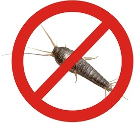 <span style="font-weight: bold;">ЦЕНЫ НА УНИЧТОЖЕНИЕ ЧЕШУЙНИЦЫ</span>